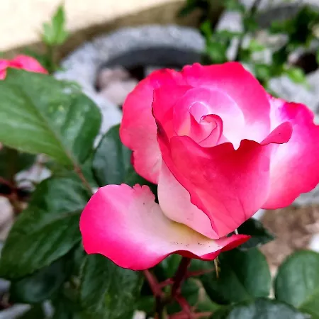 *gemuetliche In Perfekter Lage* Apartamento *