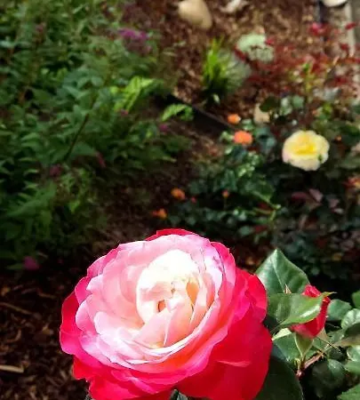 *gemuetliche In Perfekter Lage*