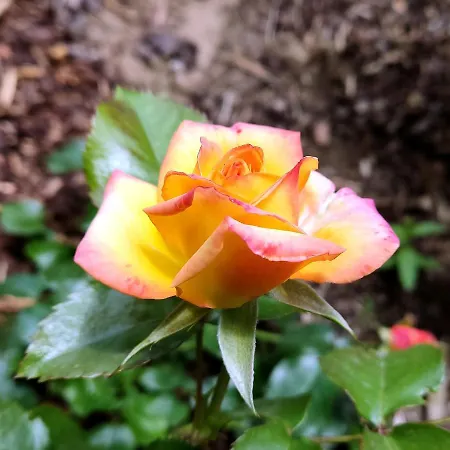 *gemuetliche In Perfekter Lage* * Wilsdruff