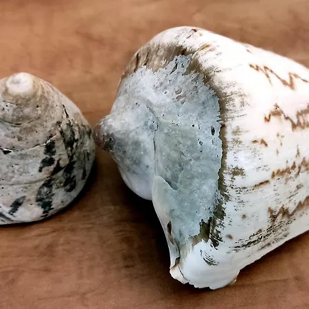 *gemuetliche In Perfekter Lage*