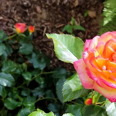 *gemuetliche In Perfekter Lage* * Wilsdruff