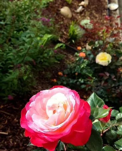 *gemuetliche In Perfekter Lage*