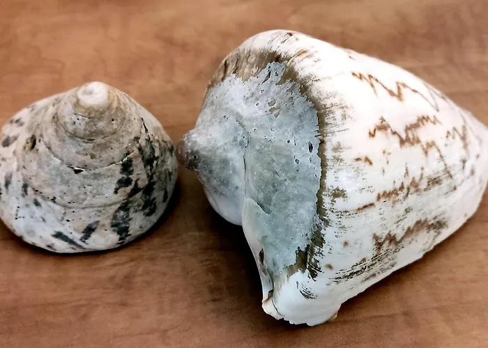 *gemuetliche In Perfekter Lage*