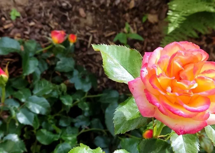 *gemuetliche In Perfekter Lage* * Wilsdruff